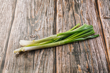 Young fresh juicy green onion