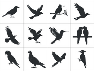 Set of Black and White Bird Silhouettes. Silhouette Collection Diverse Bird Species Flying, Perching. crows, doves, parrots, hummingbirds. birds silhouette