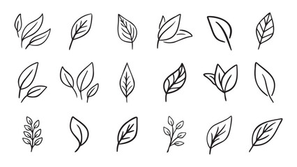 Hand drawn leaf eco set. Black line doodle leaf icons