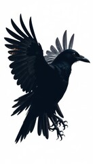 Obraz premium Dark silhouetted bird crow wing front profile shape isolated on white background , crow, wildlife, flight