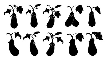 set of eggplant silhouette vector on tranparent background