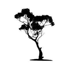Tree silhouette. Vector illustration.