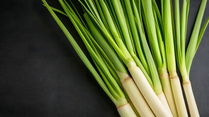 Fototapeta premium Vibrant Green Lemongrass Stalks, Aromatic Herbal Ingredient for Culinary Dishes