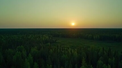 Sunset over green field landscape