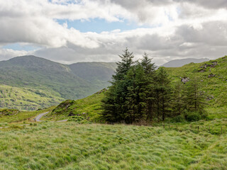 Obraz premium Rolling green hills and majestic mountains dominate the landscape in Blackvalley, Ireland. A clump of trees stands quietly in the foreground, creating a serene atmosphere.