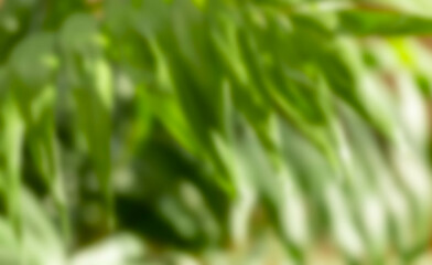 Botanical motion blur evokes dynamic, natural vibe Background for eco design, nature therapy content