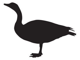 CANADA GOOSE SILHOUETTE