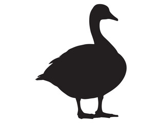 CANADA GOOSE SILHOUETTE