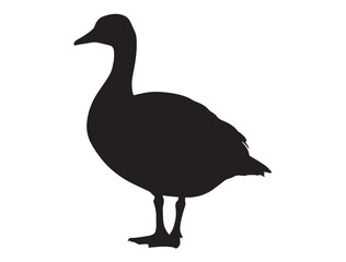 CANADA GOOSE SILHOUETTE