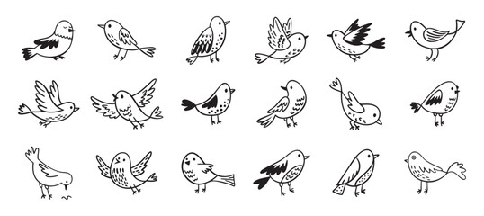 Bird doodle set. Birds hand drawn collection. Cute hand drawn bird doodles. Black on white drawing