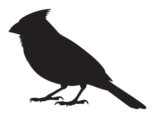 CARDINAL BIRD SILHOUETTE