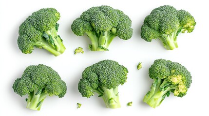 Brocolli in a white background top view