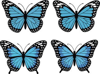 Butterfly Vector vector illustration