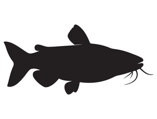 CATFISH SILHOUETTE WHITE BACKGROUND