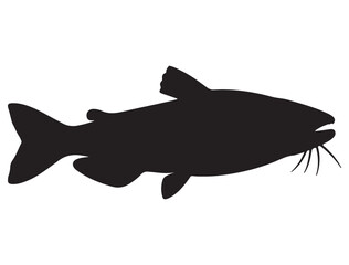 CATFISH SILHOUETTE WHITE BACKGROUND