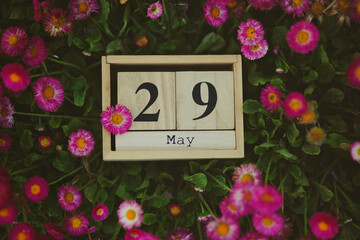 29 May, International Day of UN Peacekeepers, wooden calendar blocks outdoors in a daisy field showing the date 29th May with copy space, Mount Everest Day, World Digestive Health Day, Paperclip Day