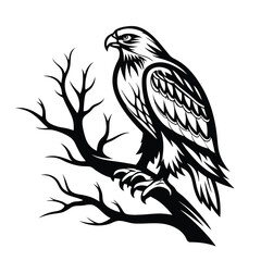 Bold Eagle Black Silhouette, Bird of Prey Perched on Tree Branch, Isolated on White