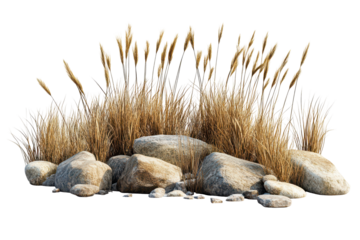 Natural landscape scene in 3D with dry brown grasses and rocks isolated on white background