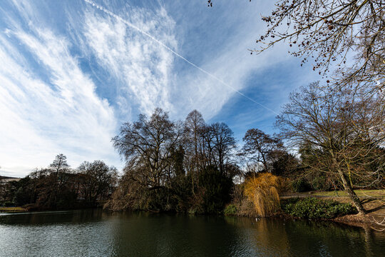 Trees, lake and interesing sky in park