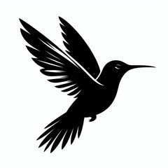 Fototapeta premium Birds Silhouette&nbsp;Of Wildlife