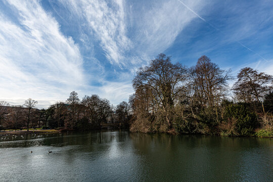 Trees, lake and interesing sky in park
