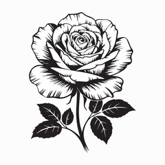  A detailed minimalist line art drawing of a blooming rose, perfect for tattoo designs, floral illustrations, romantic graphics, and elegant decor projects.