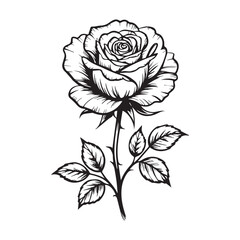  A detailed minimalist line art drawing of a blooming rose, perfect for tattoo designs, floral illustrations, romantic graphics, and elegant decor projects.