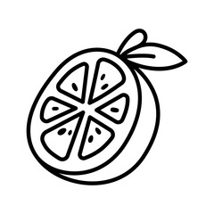 Doodle Style Icons of Tangerine Citrus Fruits for Winter Snacks and Vitamin C Concepts