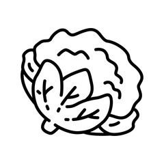 Minimalist Line Icon Set of Cauliflower for Keto, Low-Carb, and Vegan Food Designs