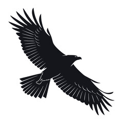Black Bird Silhouette in Flight