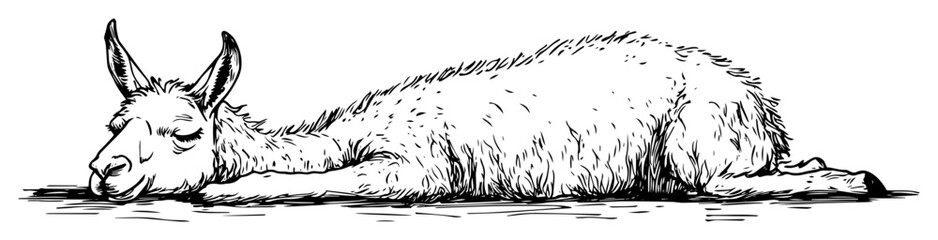 sleeping llama sketch illustration