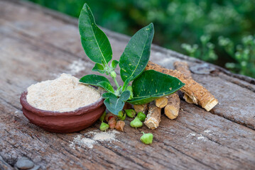 Withania somnifera ( Ashwagandha) dried root, Root powder, green leaves herbal plants on old wooden background. Herbal adaptogen ayurvedic medicine