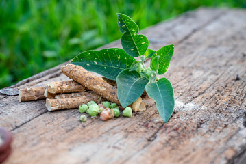 Withania somnifera ( Ashwagandha) dried root, Root powder, green leaves herbal plants on old wooden background. Herbal adaptogen ayurvedic medicine