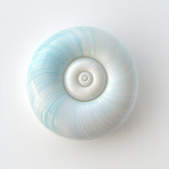 nautilus shell on white background, abstract blue spiral