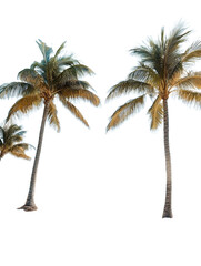 Fototapeta premium A serene beach scene featuring palm trees, white sand, and a bright blue sky with a hint of sunlight reflecting on the tranquil water.
