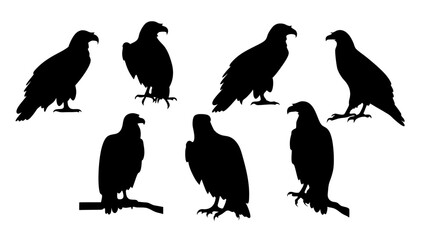 set of eagle silhouette vector on tranparent background