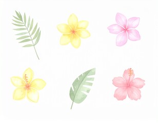 南国のハワイのイラスト