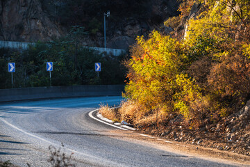 Autumn Mountain Road Winding Path