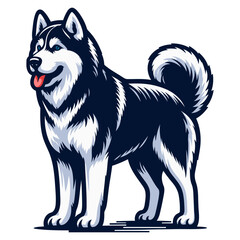 siberian husky vector and illustrations isolated on white background.