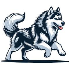 siberian husky vector and illustrations isolated on white background.