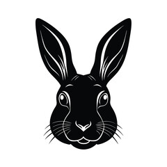 Fototapeta premium Adobe Illustrator Artwork