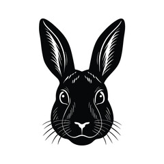 Fototapeta premium Adobe Illustrator Artwork