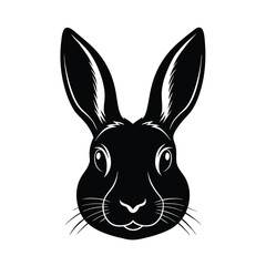 Fototapeta premium Adobe Illustrator Artwork