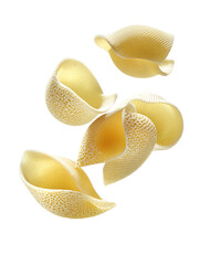Fresh Pasta Shells on White Background