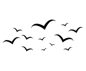 Set of flying bird design, nature freedom flock sign, vector illustration .