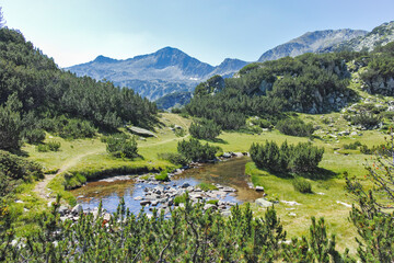 Landscape of Pirin Mountain near Banderitsa Area, Bulgaria