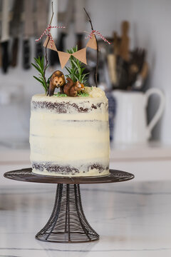 Pretty woodland celebration cake on kitchen bench.