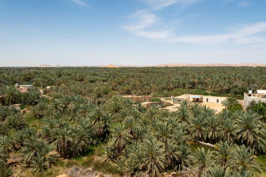 Siwa Oasis, Egipto