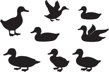 Obraz premium set of silhouettes of birds