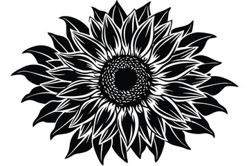 Vector silhouette of a sunflower.